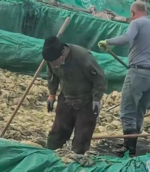 온라인카지노 라이센스 벳위즈식품 공장서 담배 피우고 침도 '퉤'…중국 또 식품 위생 논란