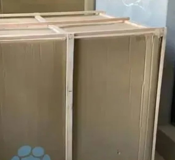 온라인카지노 벌금 벳위즈