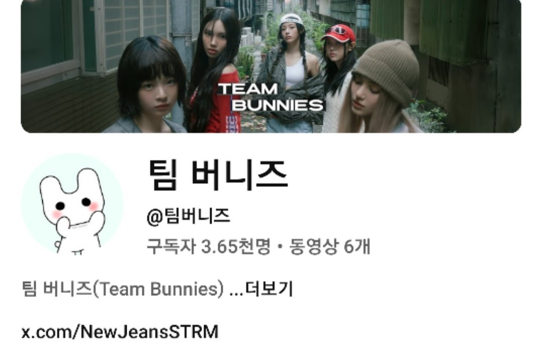 뉴진스 비방 대응 '팀버니즈', 미성년자였다…기부금품법 위반 소년부 송치