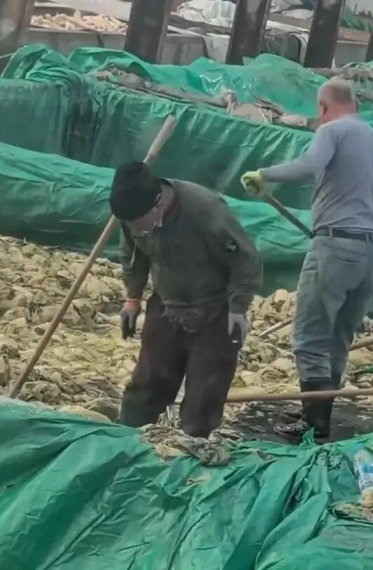 <em class='find'샌즈 카지노 사이트</em 작업장서 담배 피고 침 뱉은 근로자…中당국 "전량 폐기"