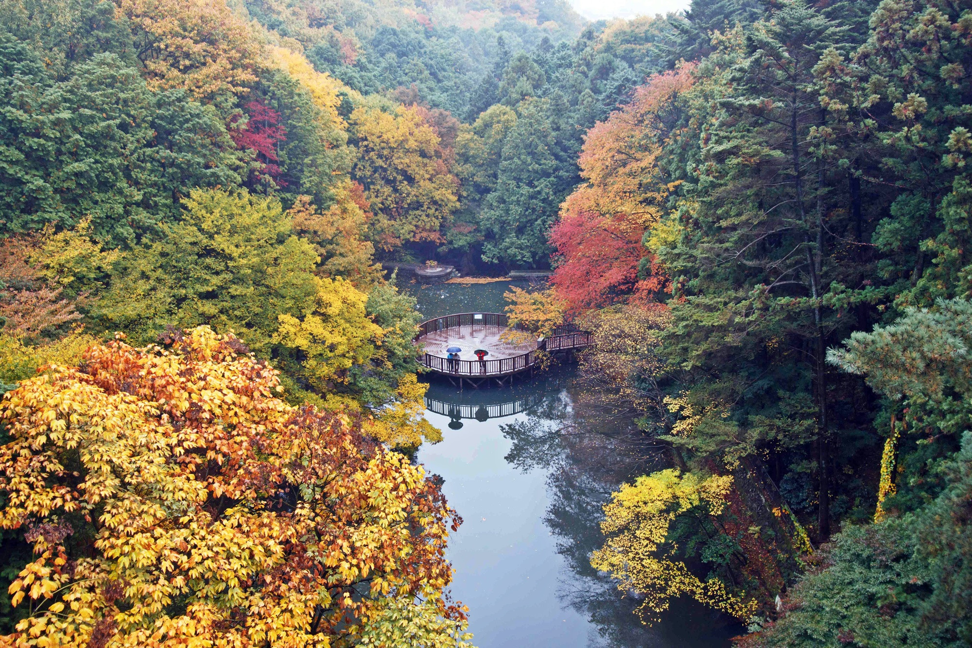 부산어린공원·횡성삼일공원…2025 모범 도시숲 6곳 선정