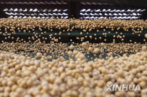 중국, '무역담판' 앞두고 미국산 대두 구매…합의 물꼬