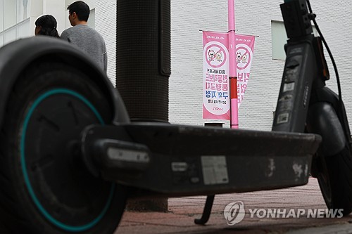 중학생 킥온라인카지노 조작에 이번엔 강아지 치였다…경찰 수사