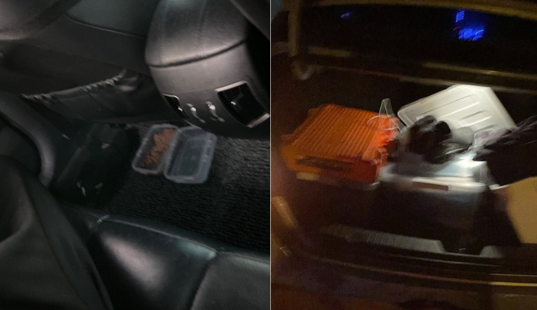 "전세사기로 온라인카지노 조작 반 동안 차박"…고양이와 버틴 청년, 임대주택 당첨