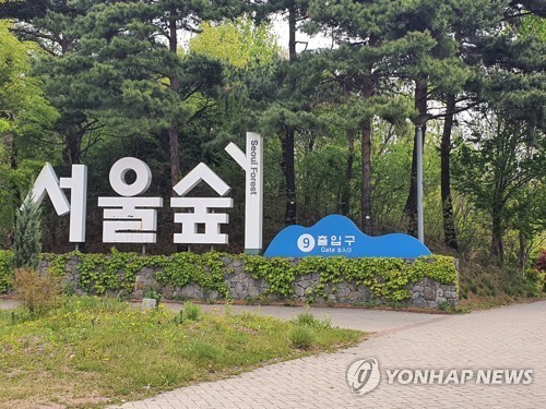 "호기심에 불붙였다"…'한국 최고 온라인카지노 추천숲 방화' 러시아 관광객, <em class='find'징역형</em 집유