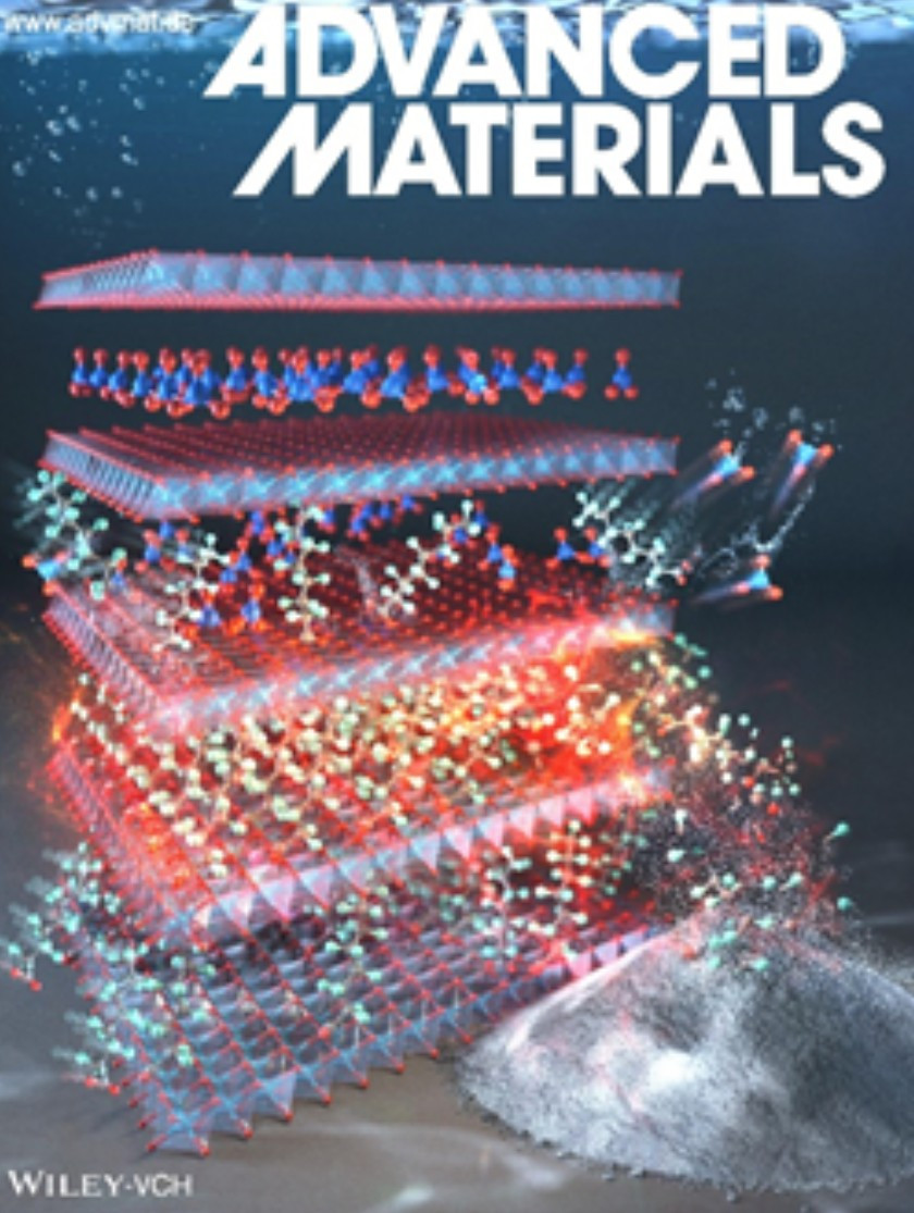 온라인카지노 추천 1