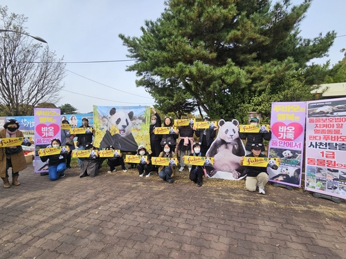 "푸바오 사육환경 보장하라"…시진핑 방한 맞춰 동물단체 집회