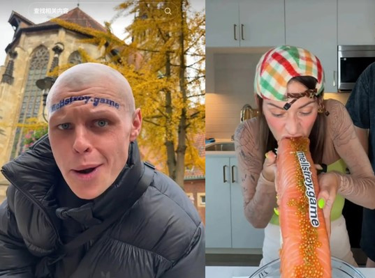 온라인카지노 총판