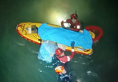 온라인카지노 바로가기대교서 투신한 20대…택시기사 신고로 목숨 건져