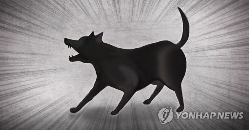 온라인카지노 후기 유니88 목줄 안 채우고 기르다 심각한 개 물림 사고…견주, 2심도 금고 4년