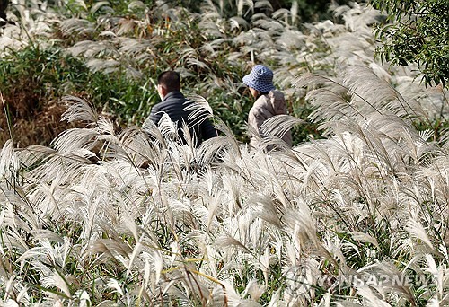 온라인카지노 아톰카지노