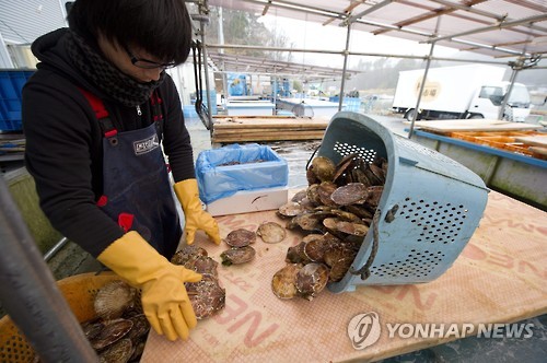 日홋카이도 가리비, 中에 수출…오염수 방류 후 처음