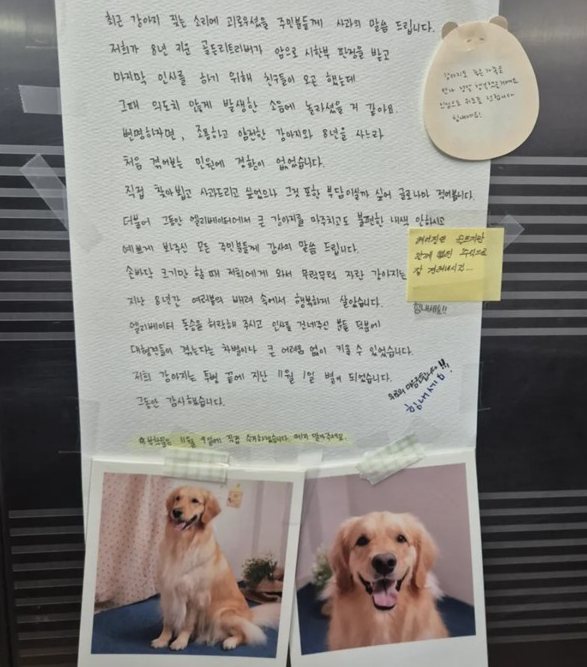 며칠 간 이어지던 '층간소음'…알고 보니 이웃 강아지의 '마지막 인사'