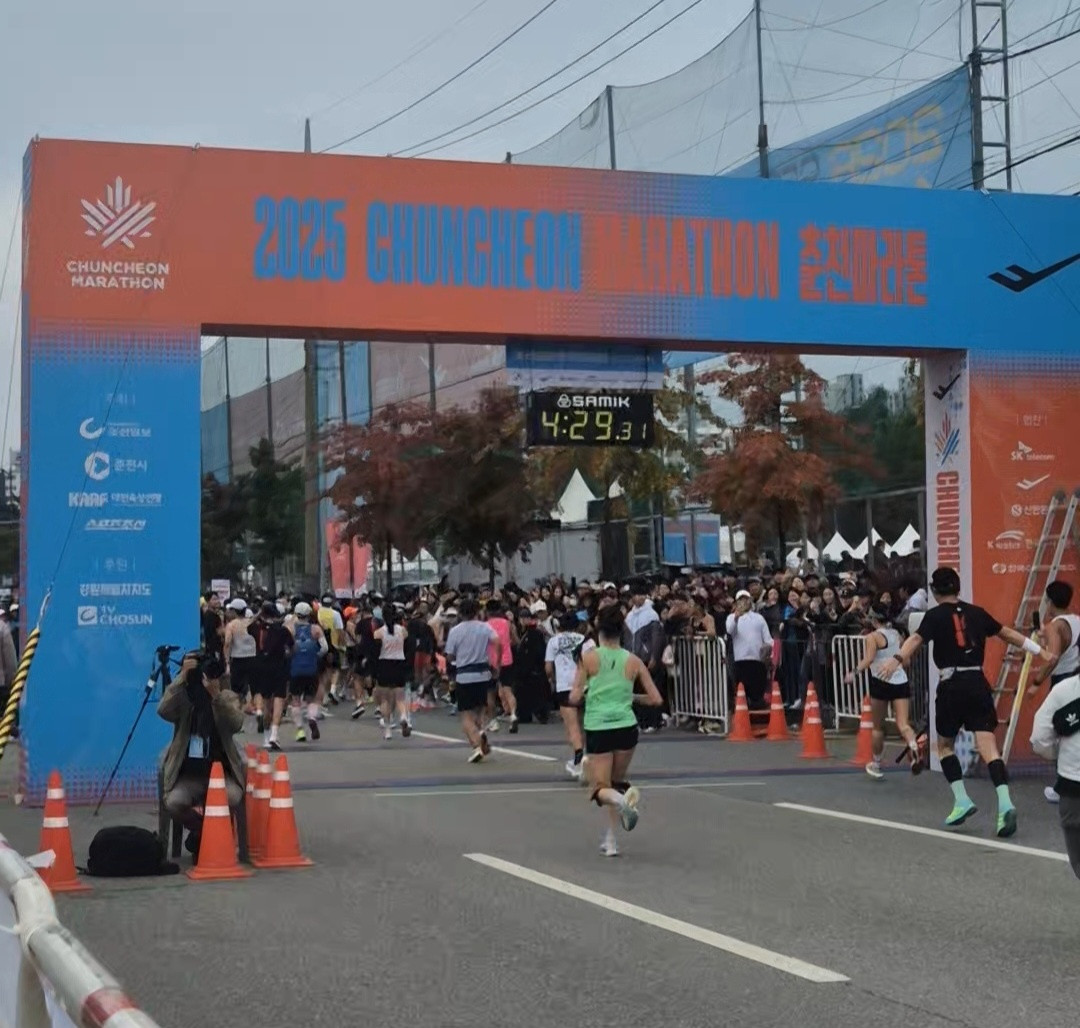 온라인카지노 합법 벳무브