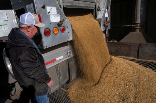 세계식량가격지수 2개월 연속 하락…곡물·육류·설탕 내림세