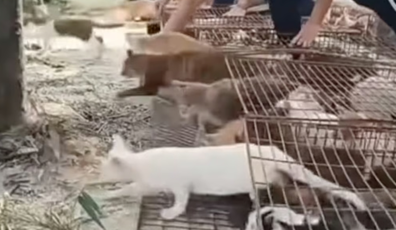 온라인카지노 후기