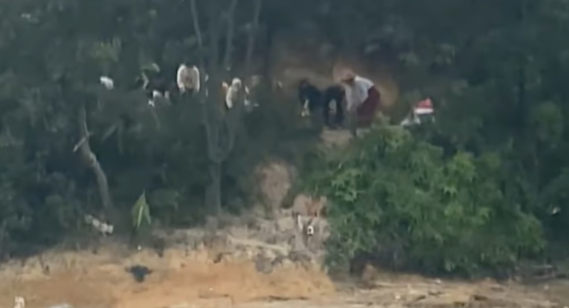 온라인카지노 후기