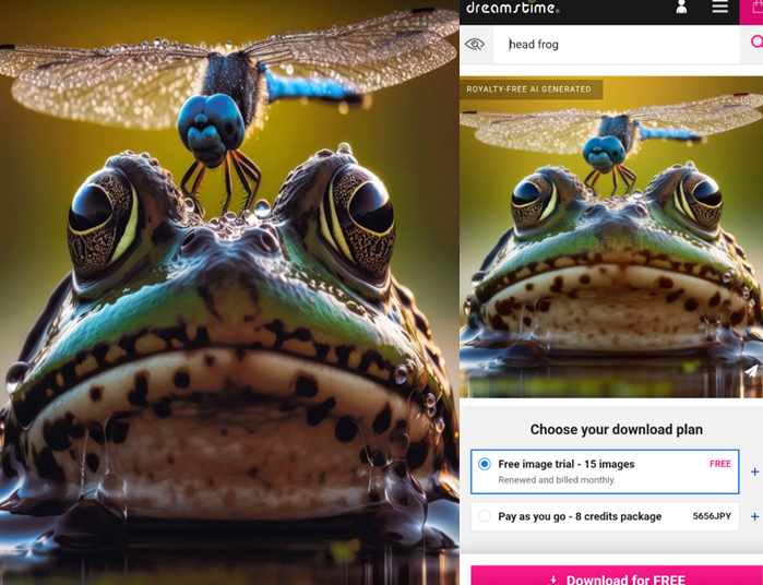 온라인카지노 총판