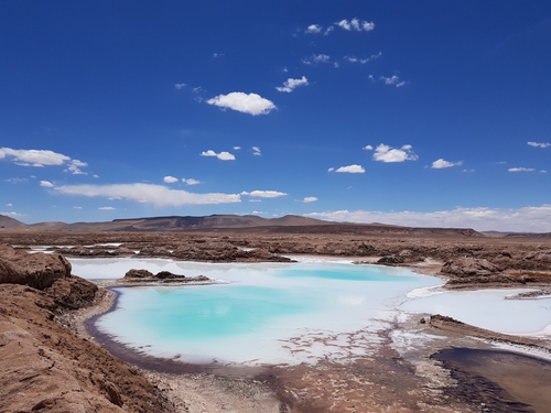 온라인카지노 총판