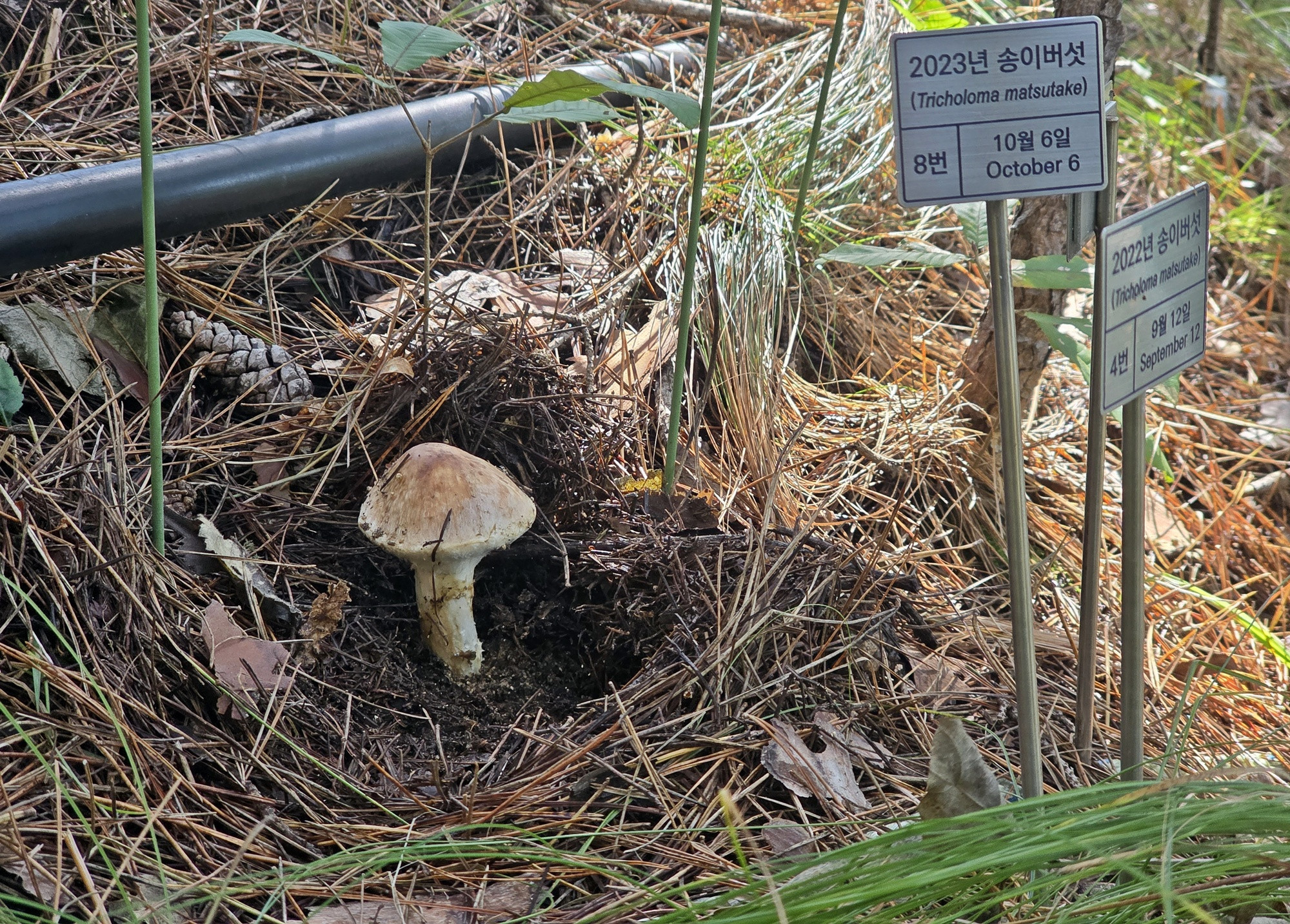 한국 온라인카지노