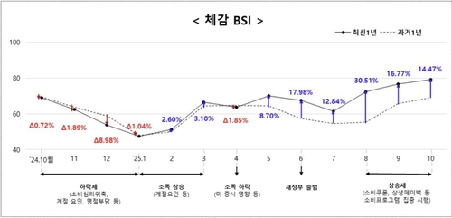 소상공인 체감경기 최근 5년내 최고…"소비진작 정책 효과"