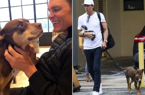 전 NFL 스타, 2년 전 세상 뜬 반려견 복제…"미리 채취한 혈액 사용"