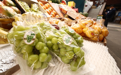 '과일계 에르메스'로 불리던 온라인카지노 가입코드, 가격 3분의 1로 '뚝'