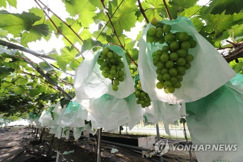 온라인카지노 가입코드