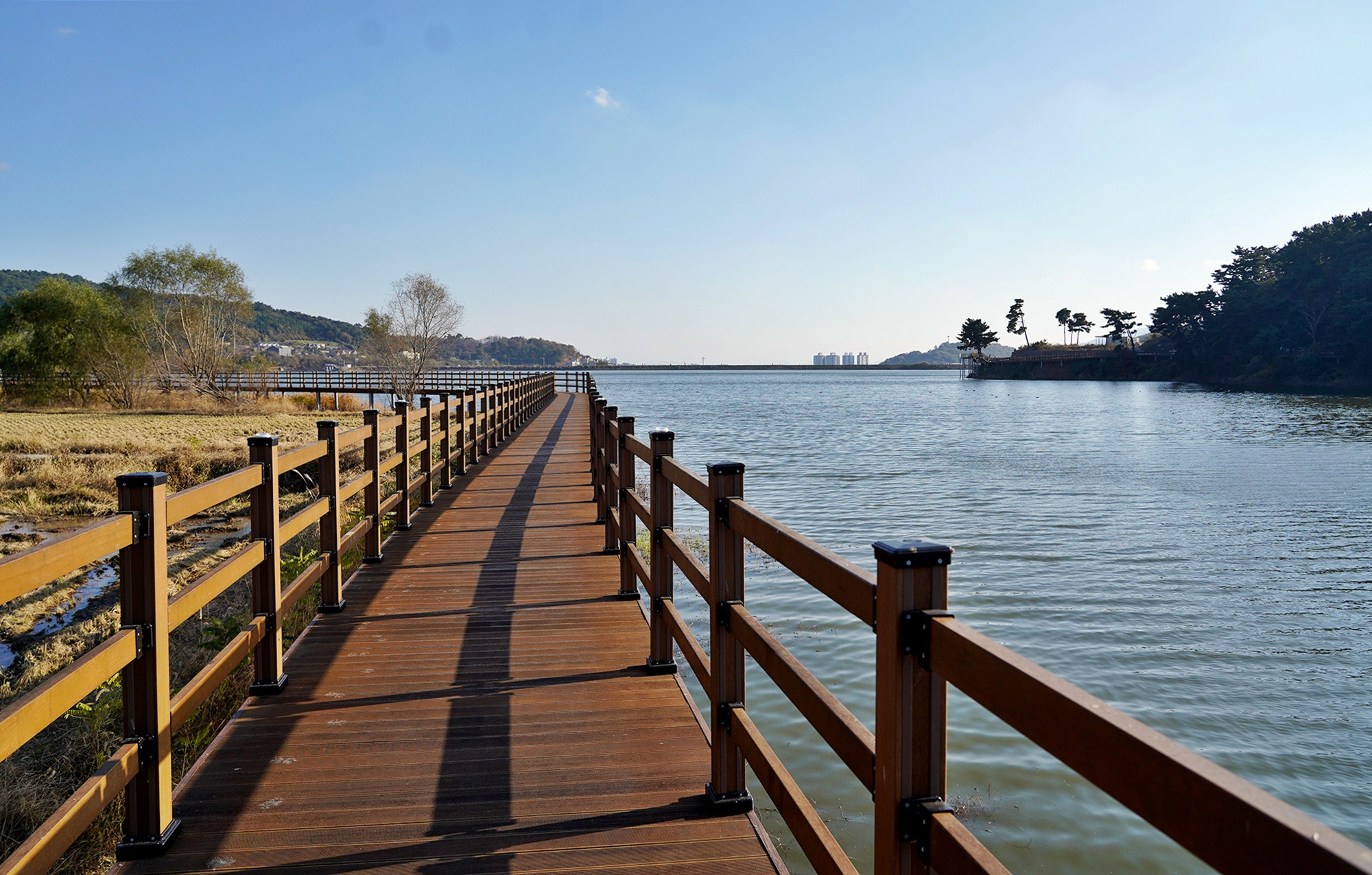 서산 풍전저수지 둘레길 개장…데크길 2.5㎞ 등 갖춰