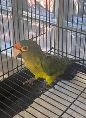 메이저카지노사이트