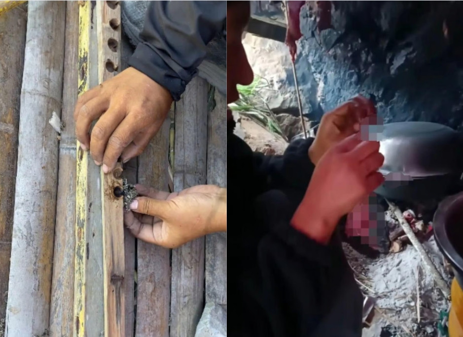 온라인카지노 조작