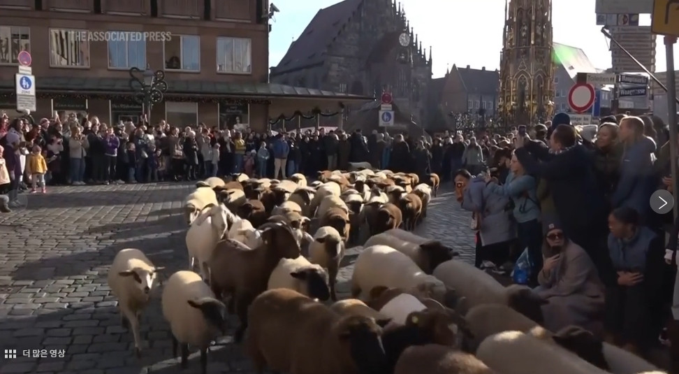 에볼루션 카지노 사이트