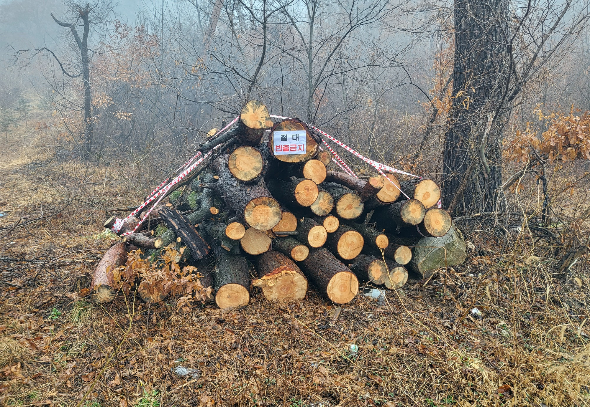 온라인카지노 합법 유니88