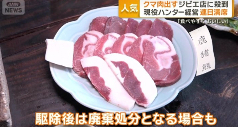 온라인카지노 불법 벳무브