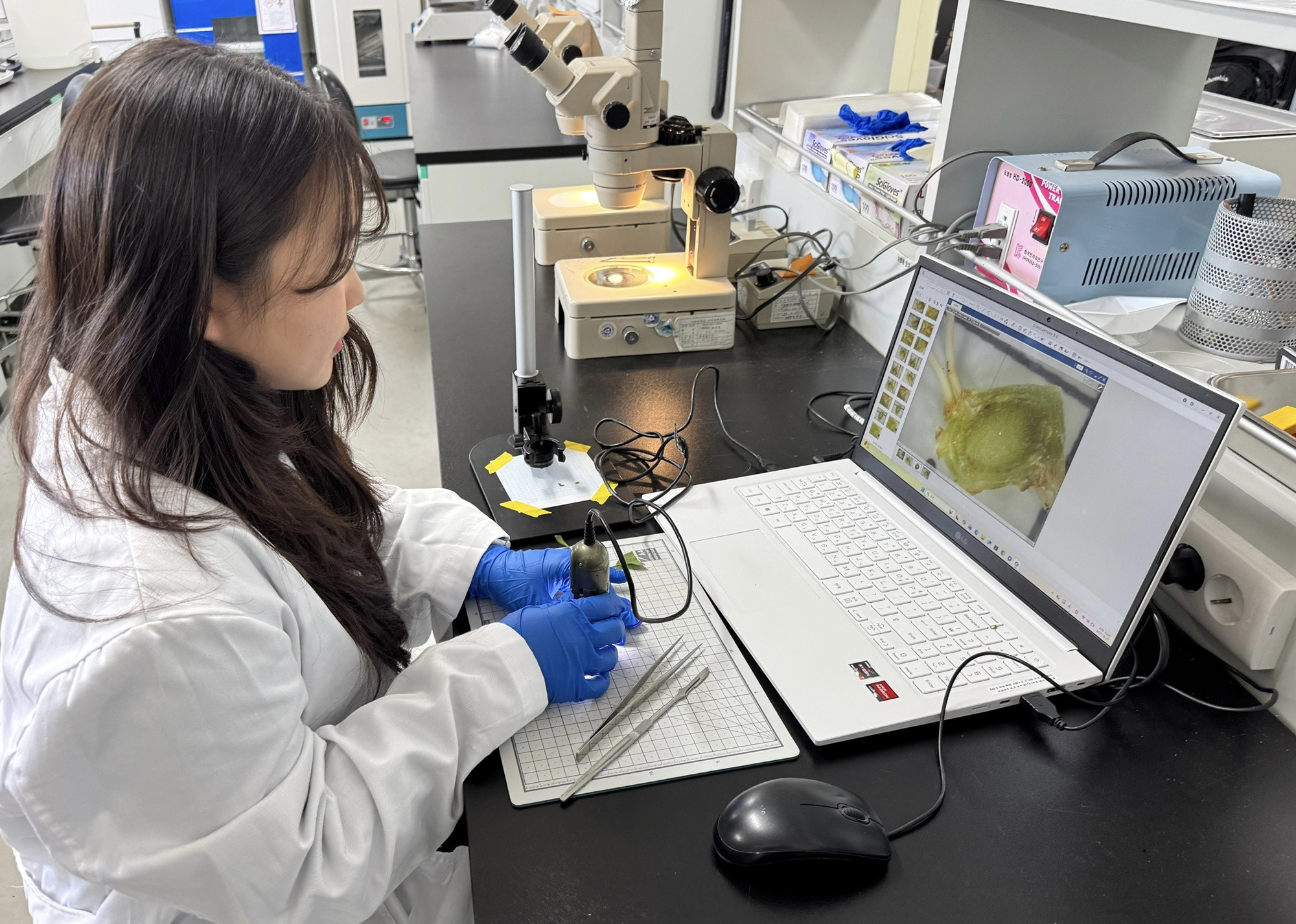 온라인카지노 알파벳