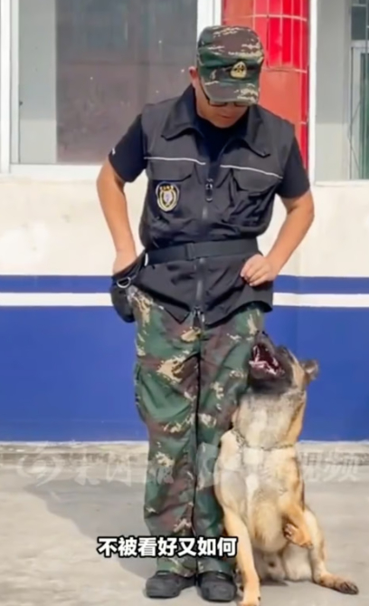 <em class='find'온라인카지노 게임</em 위기에서 늠름한 경찰견으로…중국 누리꾼 울린 장애견 '바튼'