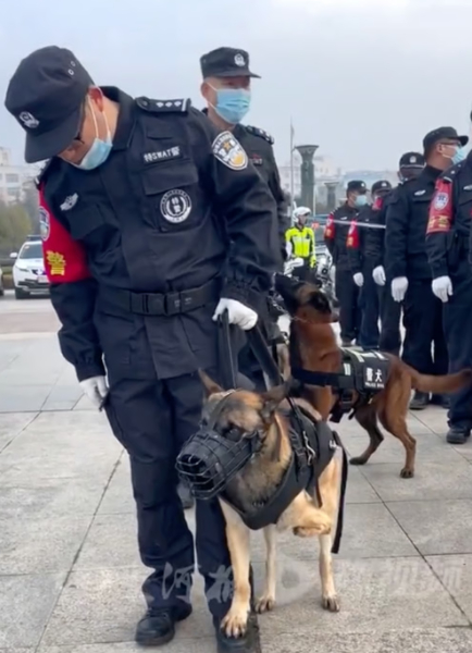 온라인카지노 경찰 벳무브