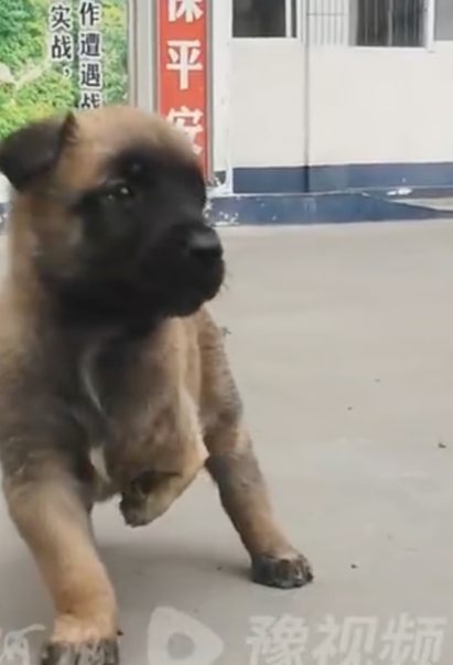 온라인카지노 경찰 벳무브