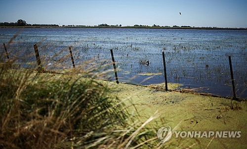 아르헨티나 홍수로 6만㎢ 농경지 침수…제주도 면적 32배