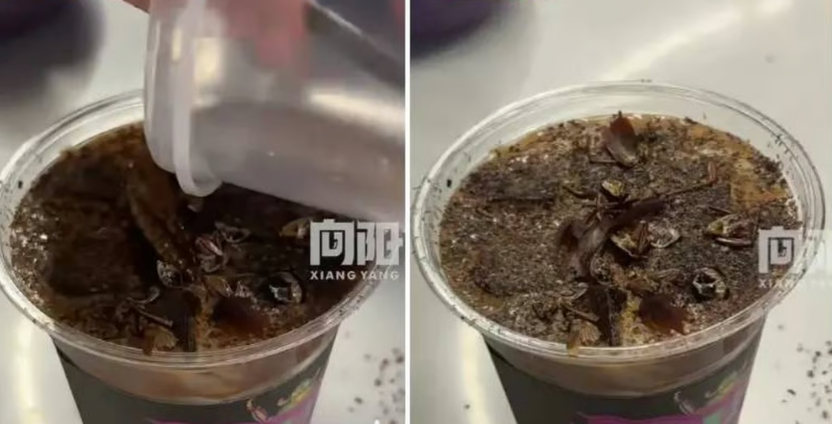 바퀴벌레 가루 솔솔 뿌린 커피…중국 현지서도 "돈 받고도 못 마셔"