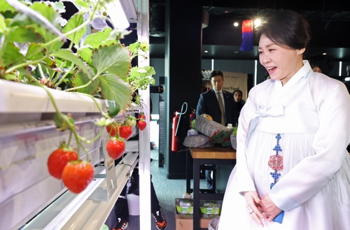 카지노 꽁 머니