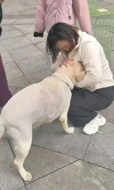 온라인카지노 불법