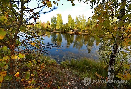 "석기시대 10대 소녀, 자작나무 '껌' 씹었다"…에스토니아서 흔적 발견