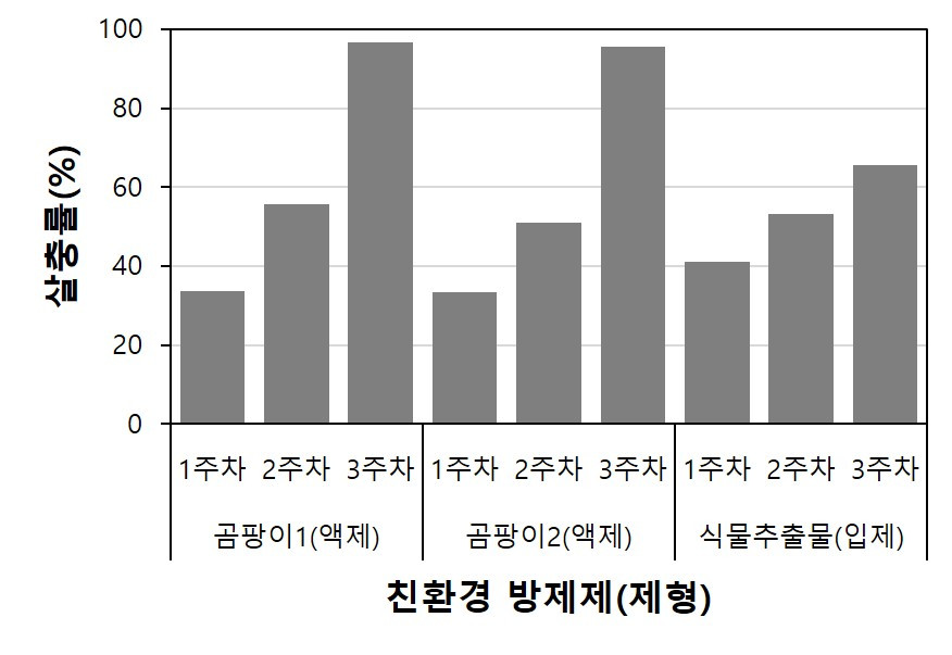 온라인 카지노 순위