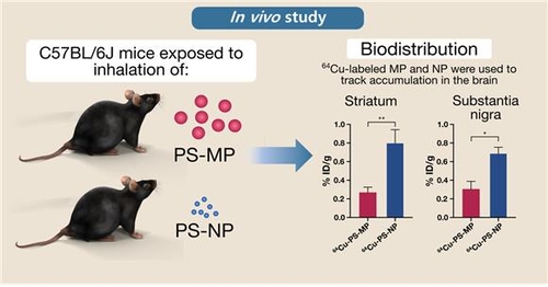 "나노플라스틱, 미세플라스틱보다 파킨슨병 위험 더 높인다"