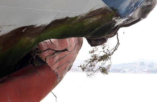 "온라인카지노 후기 벳위즈 여객선 선장, 1천회 운항 중 조타실 한번도 안 나와"