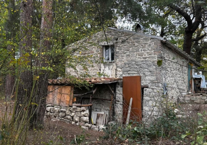 온라인카지노 라이센스 벳무브