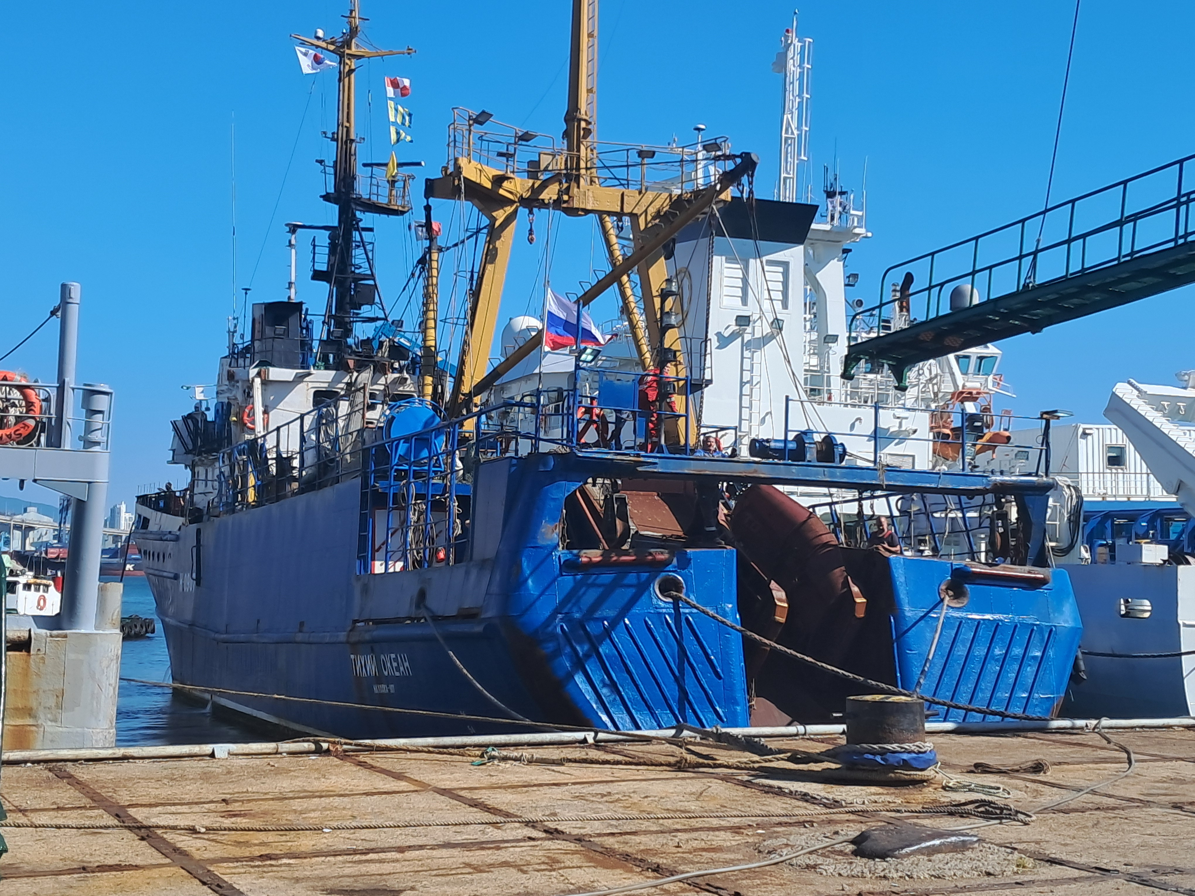 동료 온라인카지노 경찰 벳위즈 집단 폭행해 숨지게 한 러시아인 2명 구속