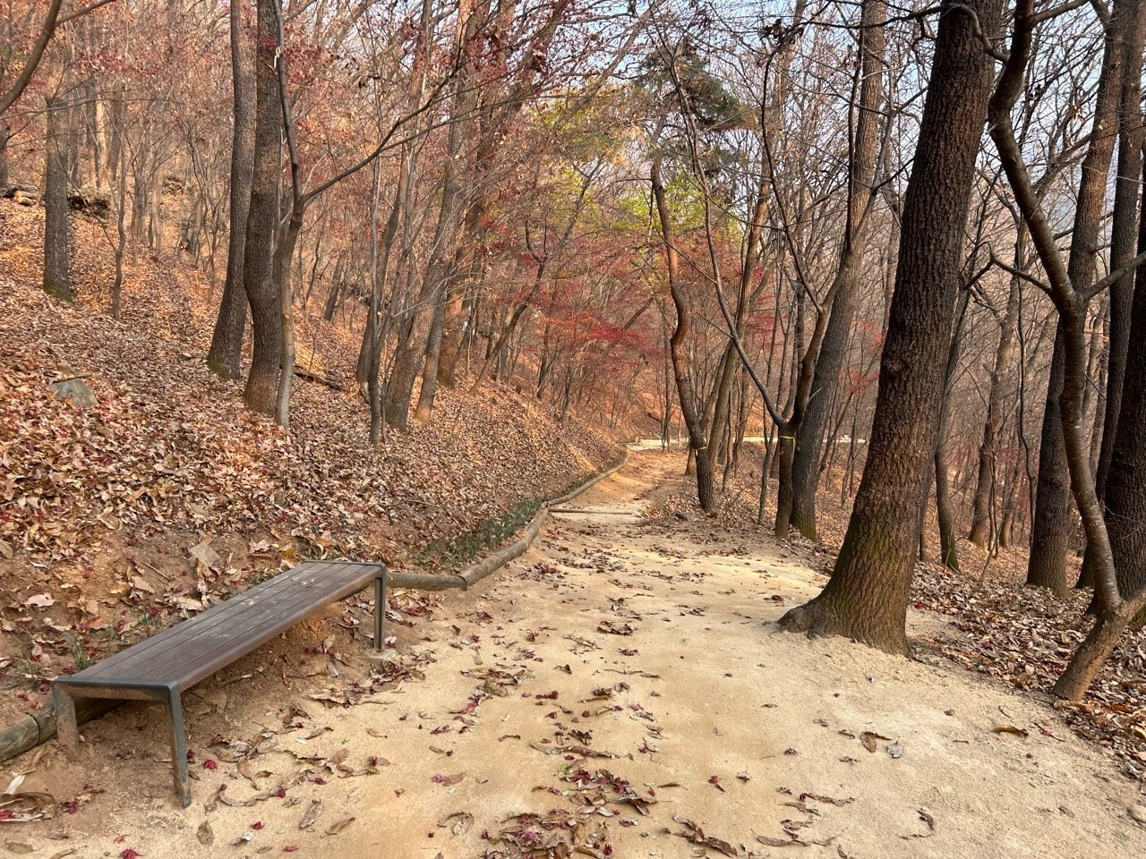 "새소리·바람소리 따라 걸어요＂대전 보문산에 맨발길 조성