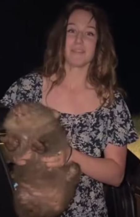 새끼 웜뱃 빼앗은 미 인플루언서, 사냥 허가받으려 주소 속였다가 감방행